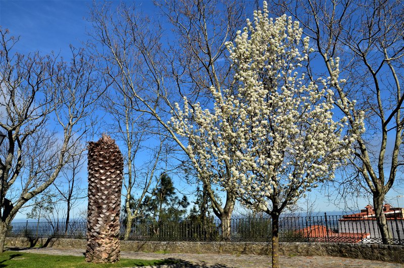 MONTANCHEZ-11-3-2021 - Extremadura y sus pueblos -2010-2023 (37)