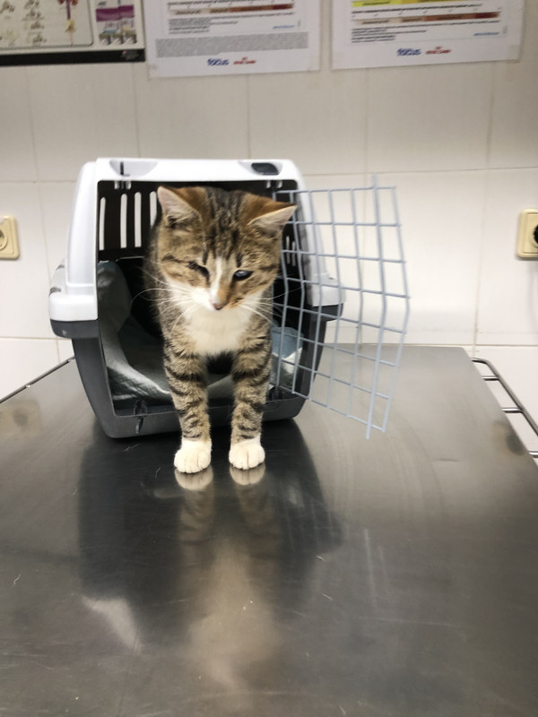 08869E7F-BBCA-4A62-8E09-3BF004DC5CC2