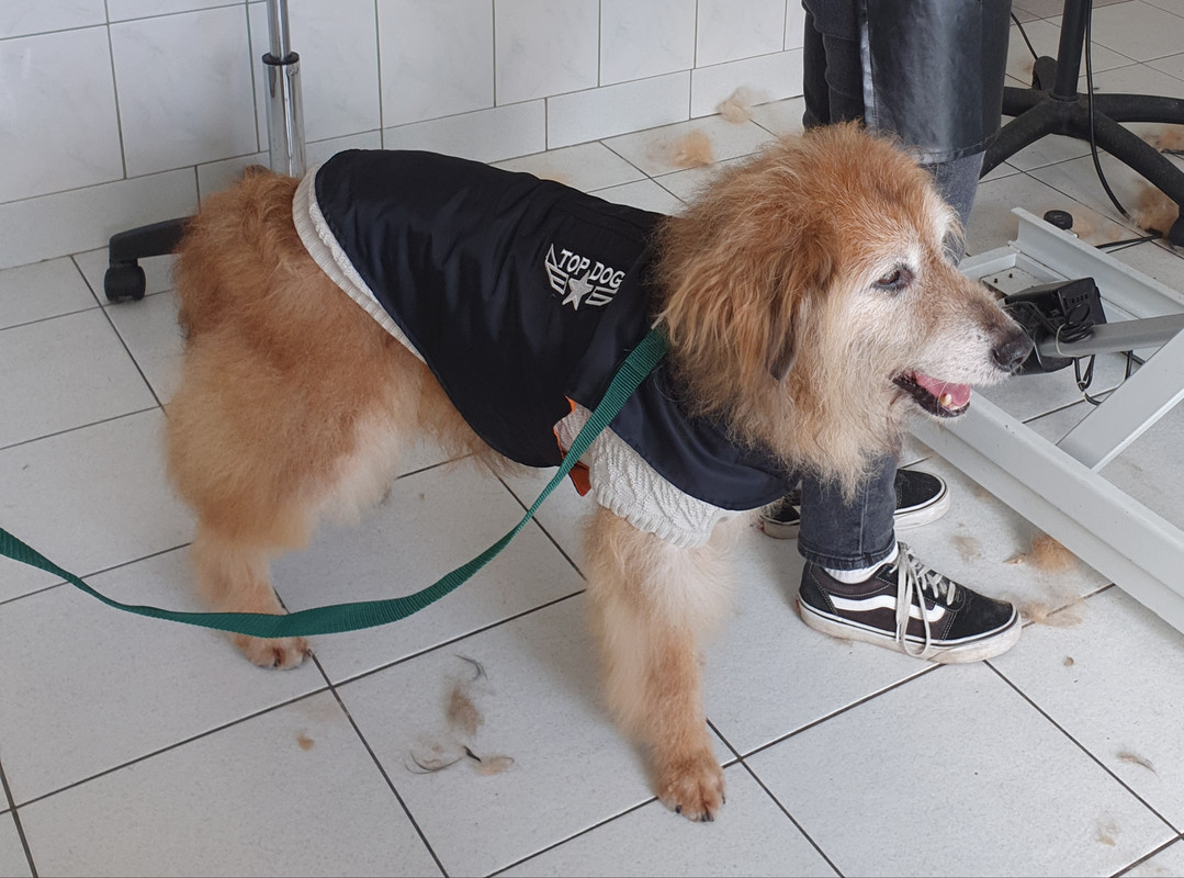 [Image: 20211006-141153.jpg]