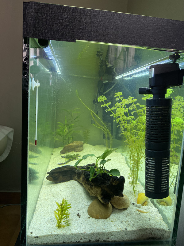 8C6464AF-D73F-486E-9C44-48C2AAFC5901