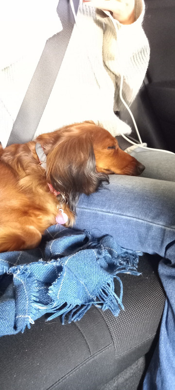 [Image: 20241005-180130.jpg]