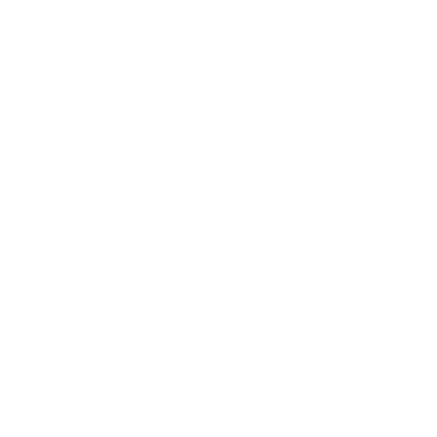 Icono 1