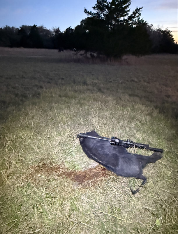 Screen Shot 2025-03-27 at 10.59.29 AM