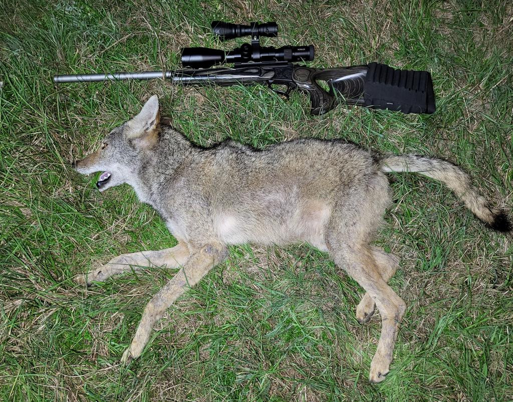 coyote 300WHisp 110Tac Tx 185yds 12 27 25