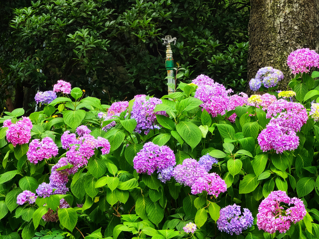 IMG_20230523_140935_副本