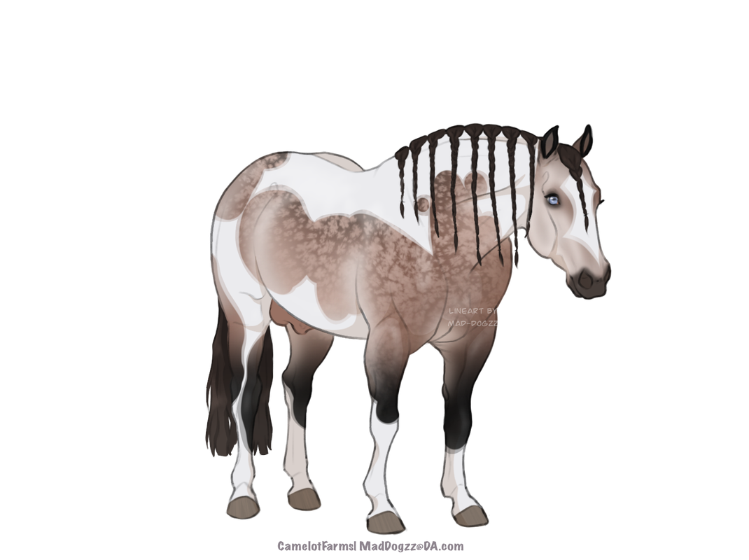 A98119-C2-460-D-447-A-856-D-7-C25-EB993786.png