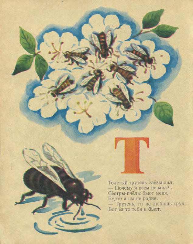 a4586bef434243e0a90da3c2b891f522-US9-Cc1-Qd-Vs-Kwd-Bsf-17