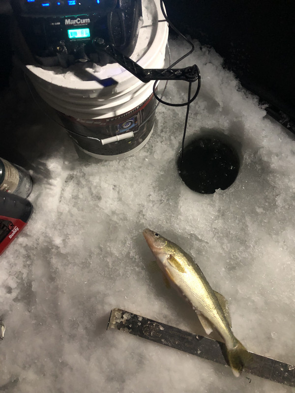 3382107A-3184-4E99-97DD-36632F9D35D0