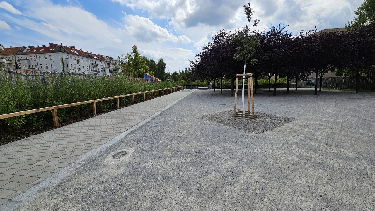 20240817-134305.jpg
