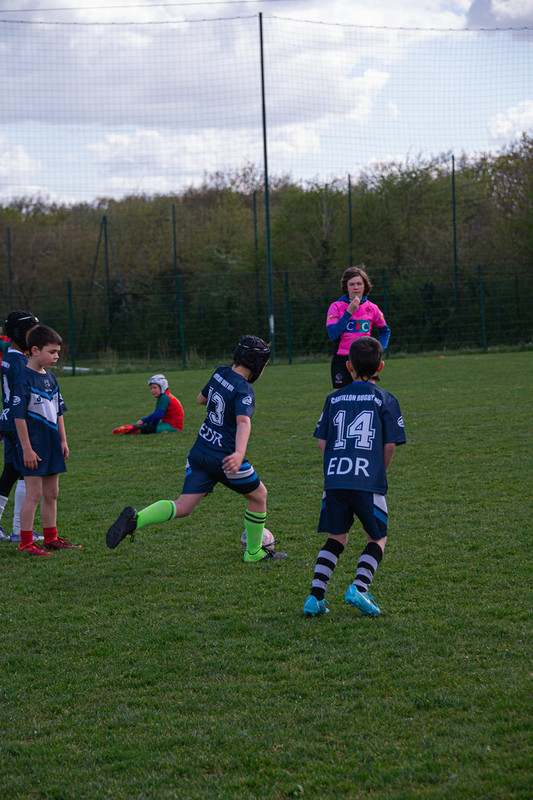 tournoi-de-latlantique-2026-adonis-griffon-100-55181547629-l