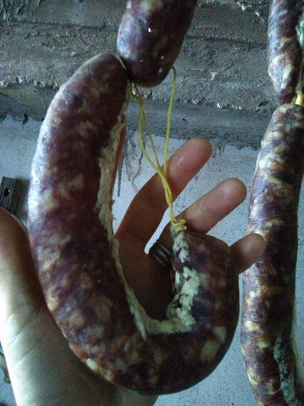 WhatsApp Image 2022-05-11 at 10.12.51 AM (1)