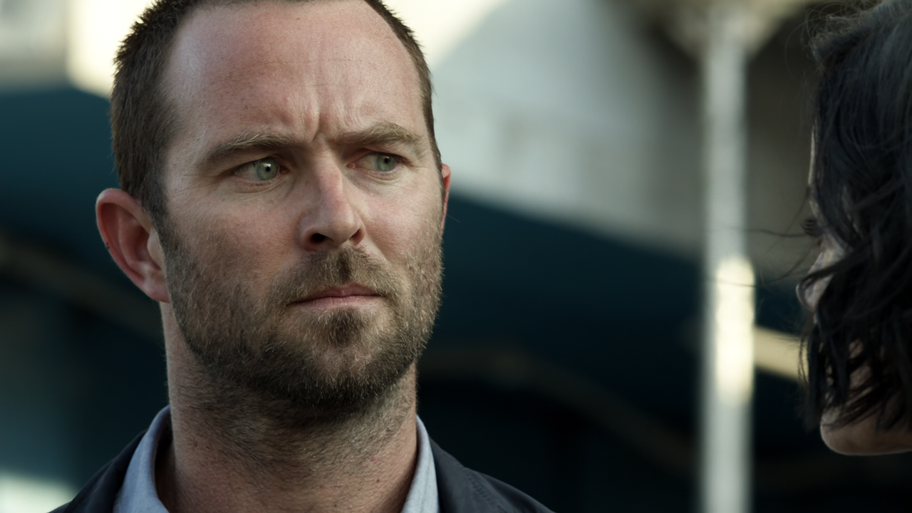 Blindspot.S01E02.A.Stray.Howl.1080p.10bit.BluRay.AAC5.1.HEVC-Vyndros.mkv_snapshot_36.45_[2020.12.20_