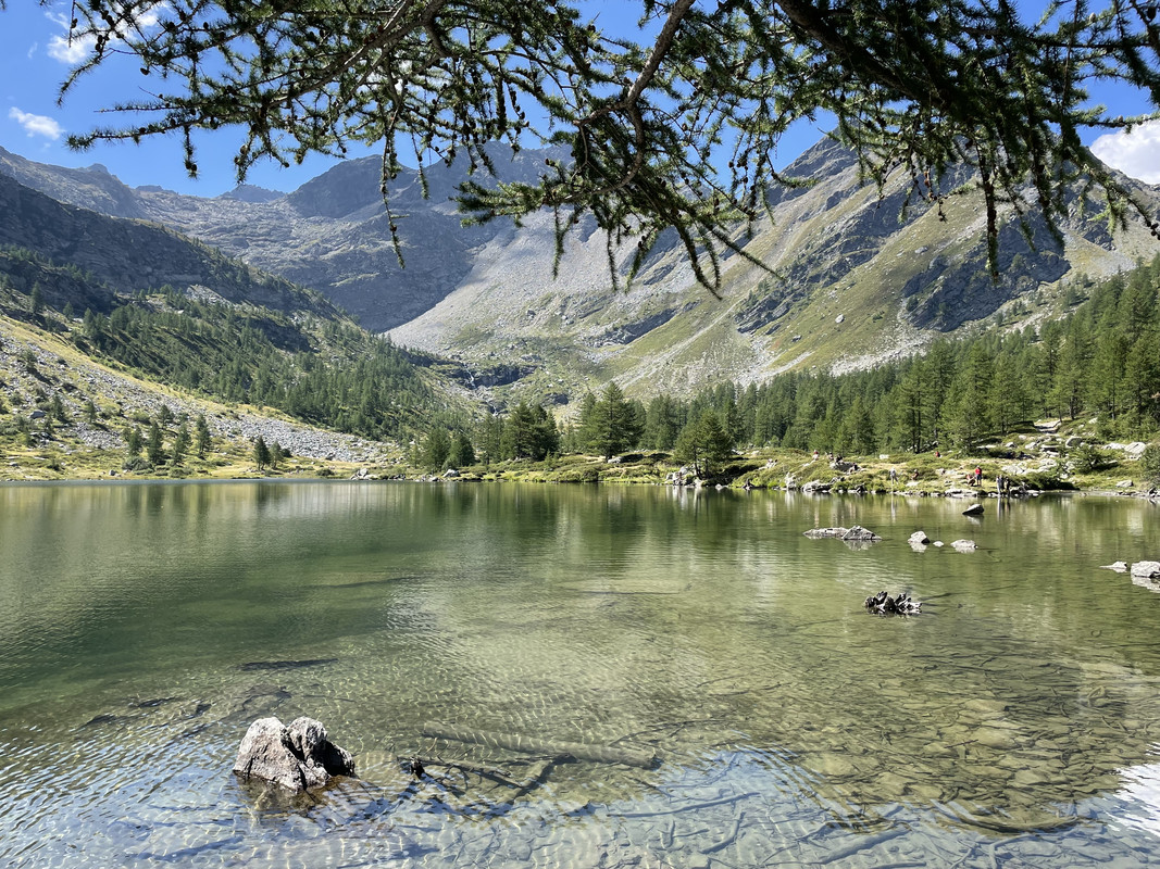 CB2D46D7-8012-43FF-9835-95EBD68C8AE1