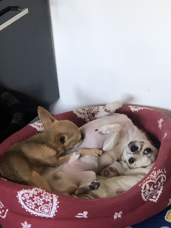 BF234745-D0B2-4D25-8619-FB430BF73960