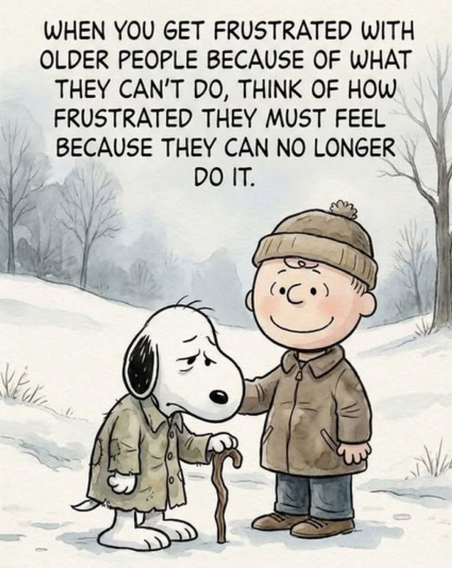 Screenshot 2026 03 30 at 13 20 46 Post a MEME Thread Page 5675 Yellow Bullet Forums