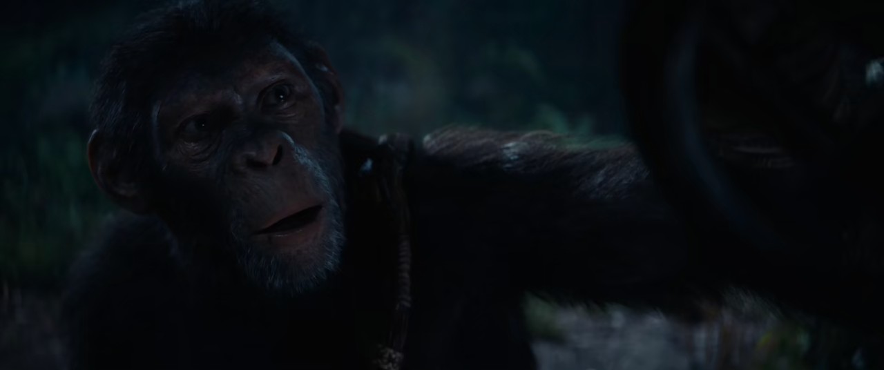 Kingdom-of-the-Planet-of-the-Apes-2024-WEBRip-Hindi-English-720p-10bit-HEVC-DDP-5-1-MSub-mkv-000