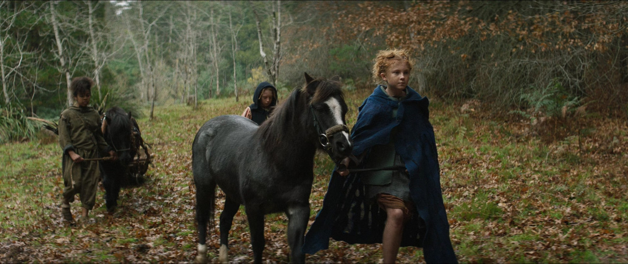 Click to enlarge Image error