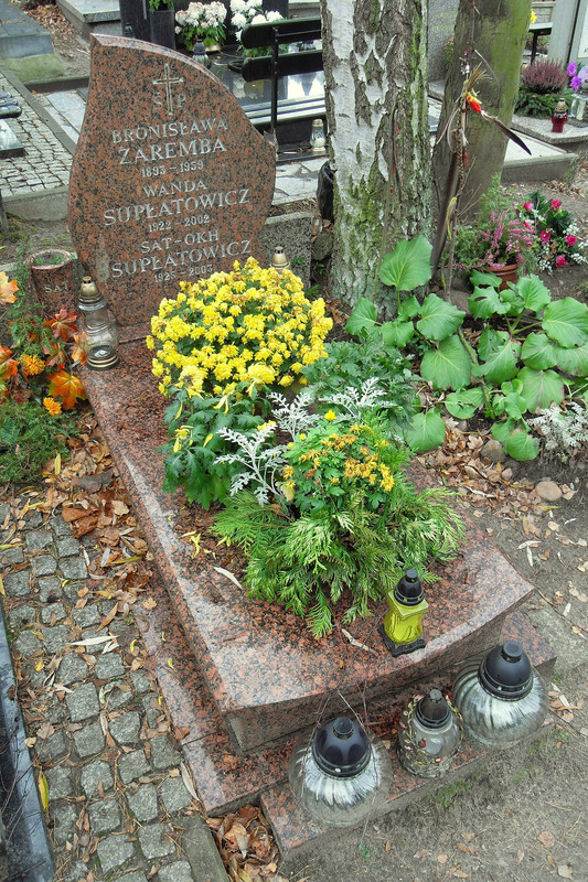 Gdańsk_Cmentarz_Srebrzysko_–_Stanisław_Supłatowicz_(Sat–Okh)