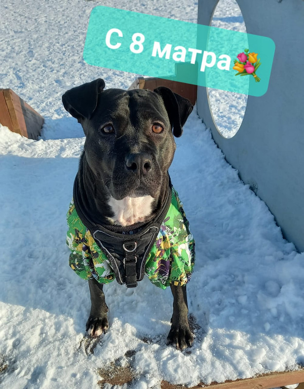 F3673244-4B61-4F12-861A-04B63119C222