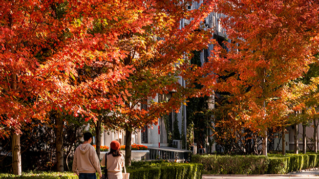 School of Mechatronical Engineering