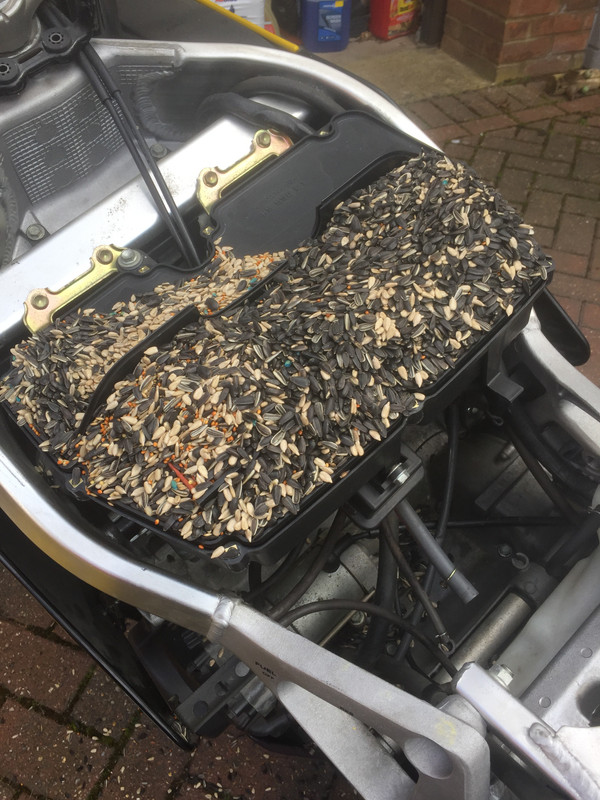 F3147C0E-AF93-4293-BBFF-5E746AD37444