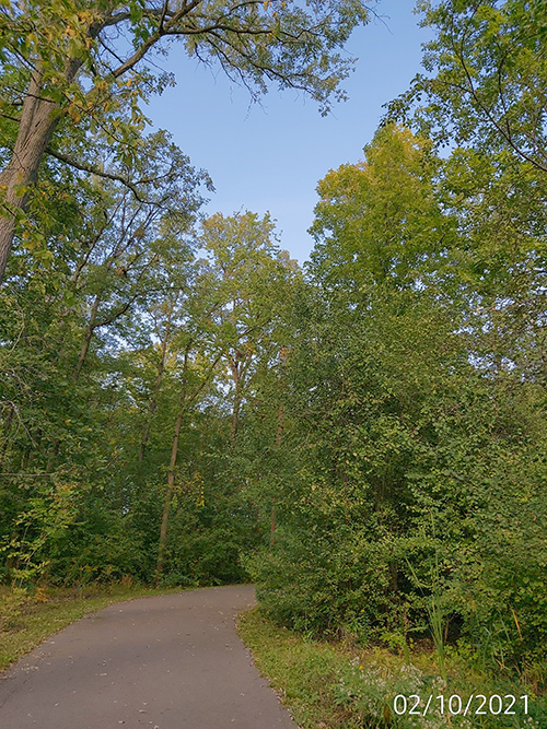 [Image: IMG-20211002-160126.jpg]