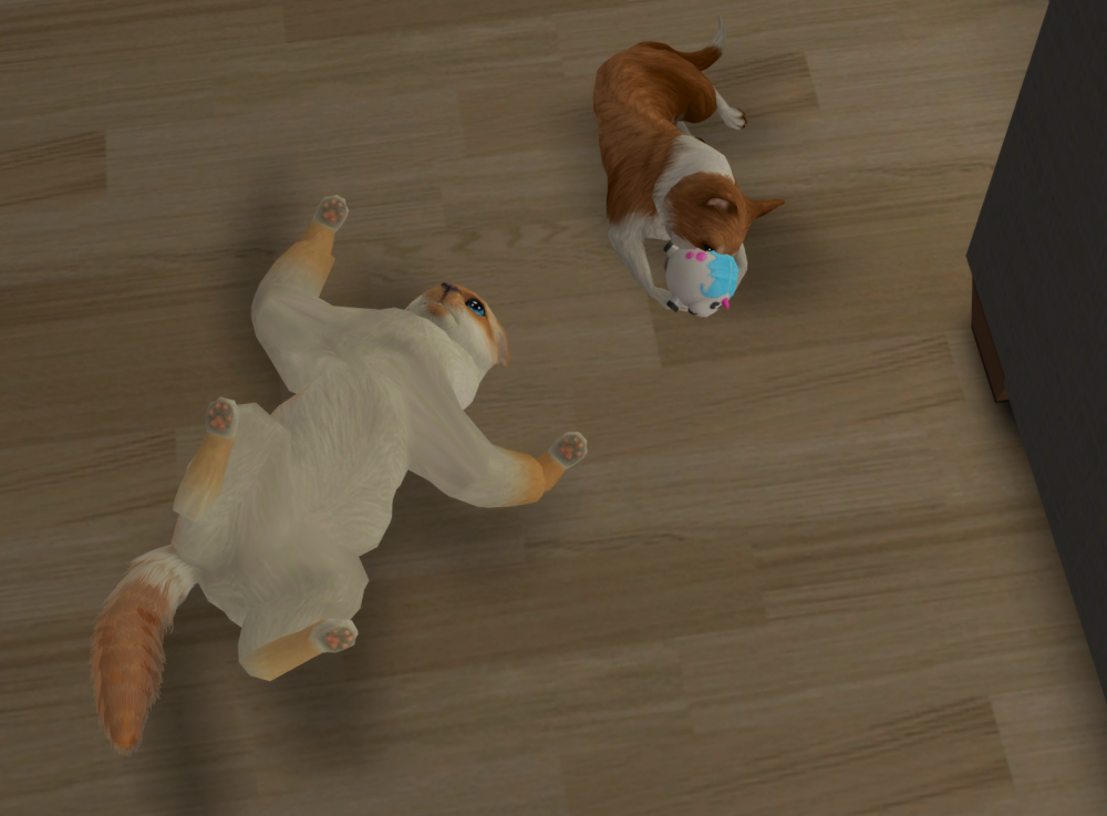 Sims2-EP9-RPC-2022-07-16-11-17-59-55