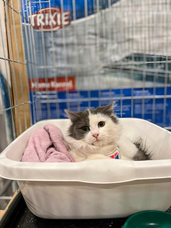 DB2B6A32-9257-46F4-BAFE-F574FBCB7086