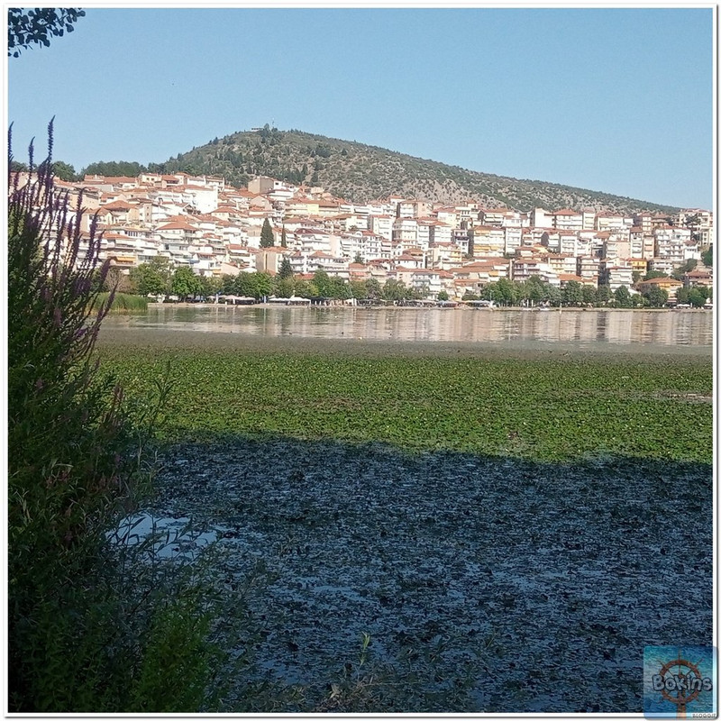 Slika