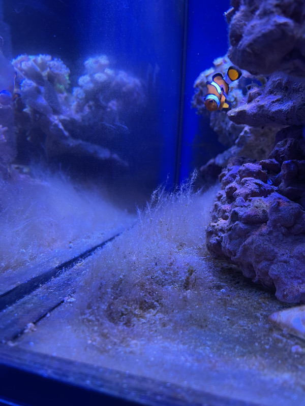 6CFDD0BD-6C35-4E29-96C2-91D531E9815C