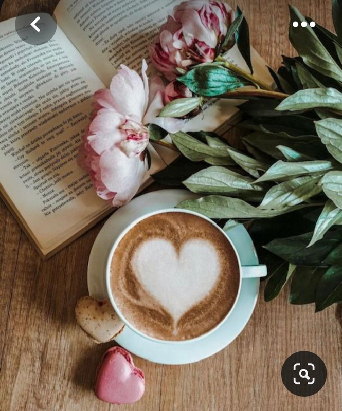 Screenshot_20230517_004257_Pinterest