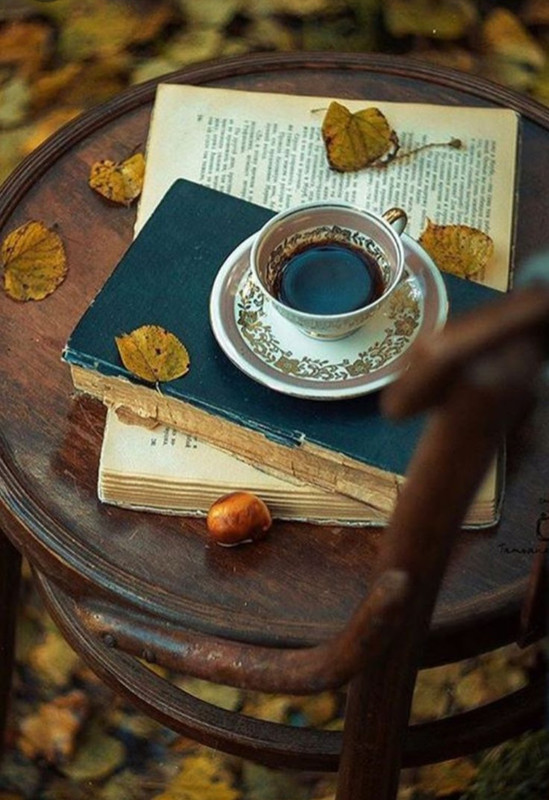 Screenshot_20230913_200916_Pinterest