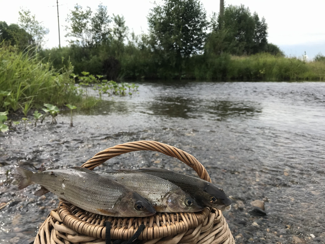 581CD67A-C162-4A2D-82B7-51681E589175