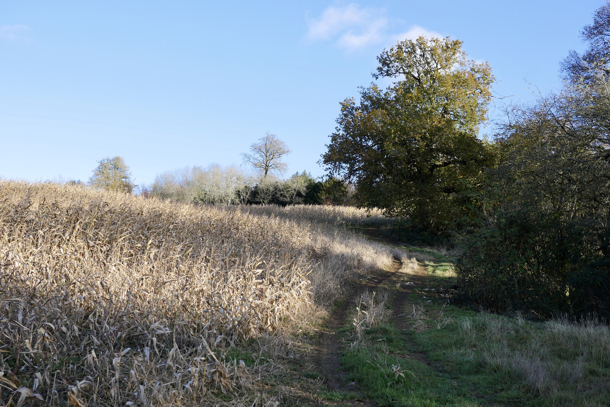 5B5C5BFC-459B-45BC-8611-E7C5DE41FCA6