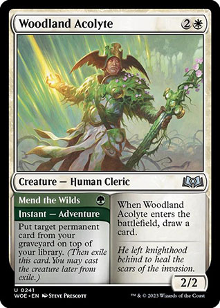 woe-mend-the-wilds-woodland-acolyte-v0-c