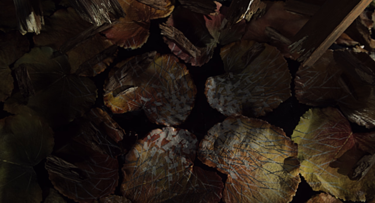 Movie cover image