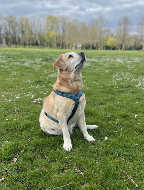 F11114C5-3A12-4150-AC5C-9A9C6F89A2AB