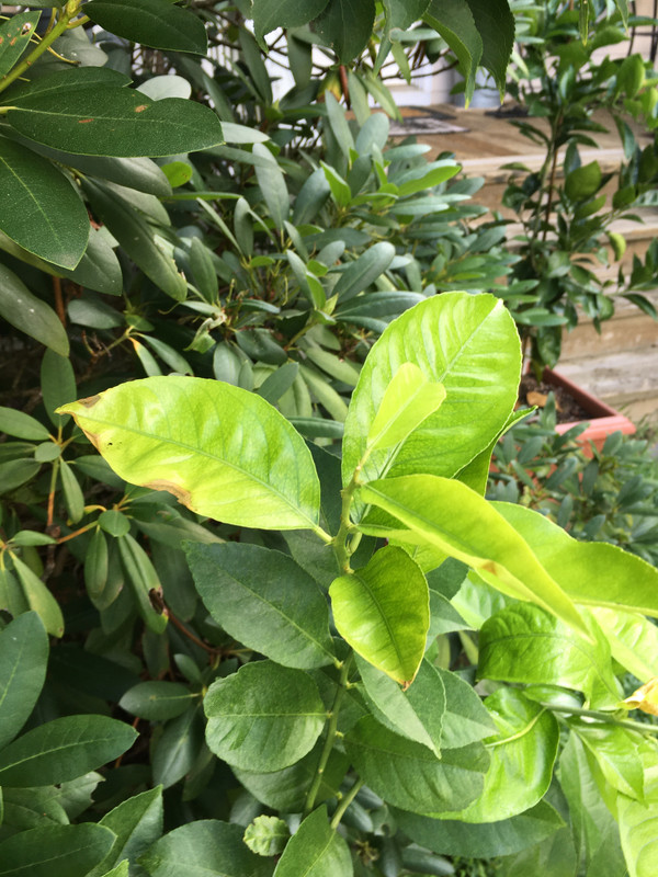 7CC026C3-62B7-43F6-BC0F-8FE8CBBCBBB7