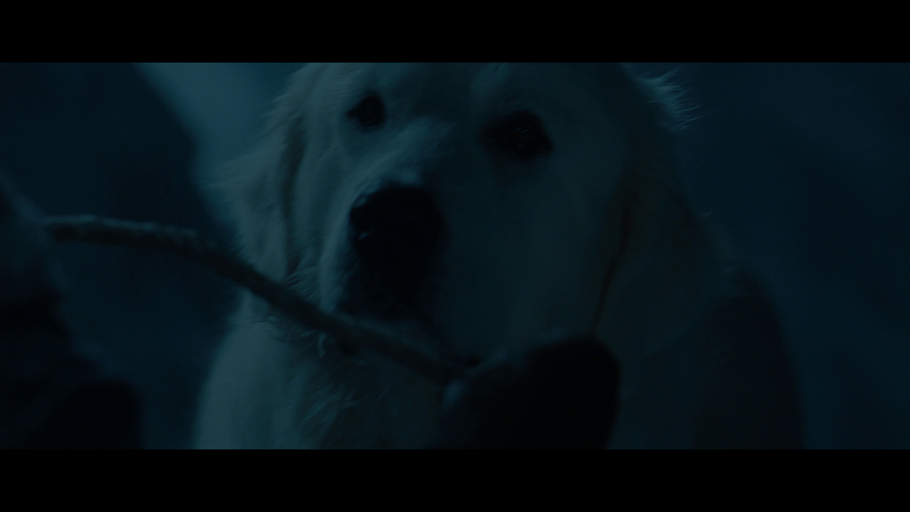 vlcsnap-2023-01-10-15h22m53s740