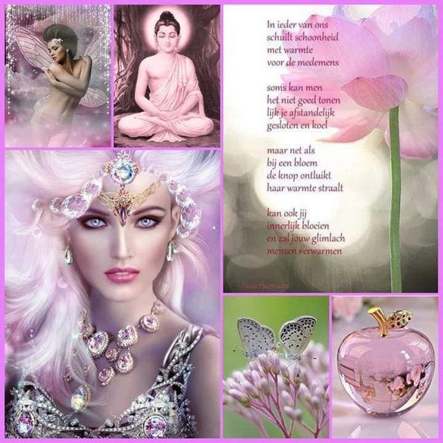 104899033-2629389857314359-8711604003546515832-n