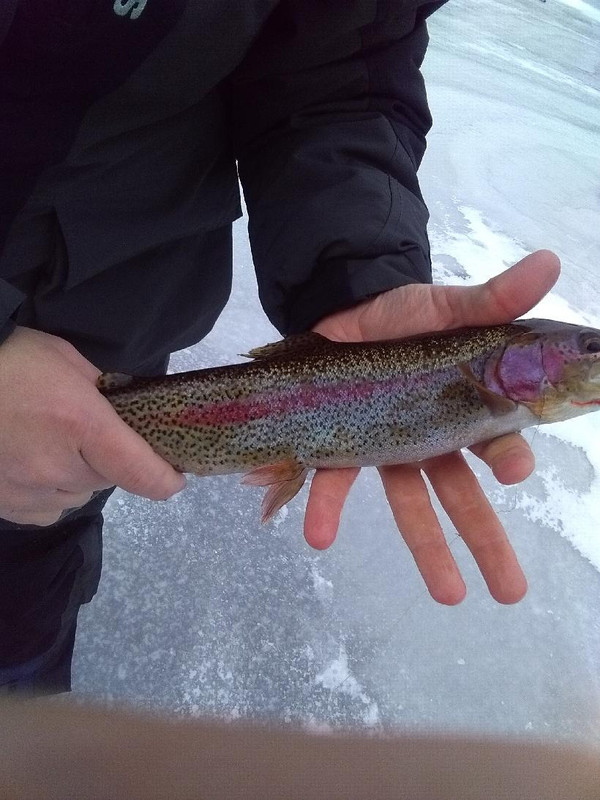 KIMG0132
