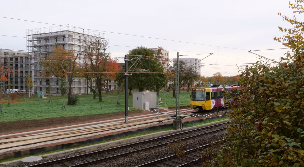 [Bild: 191024-100452b.jpg]
