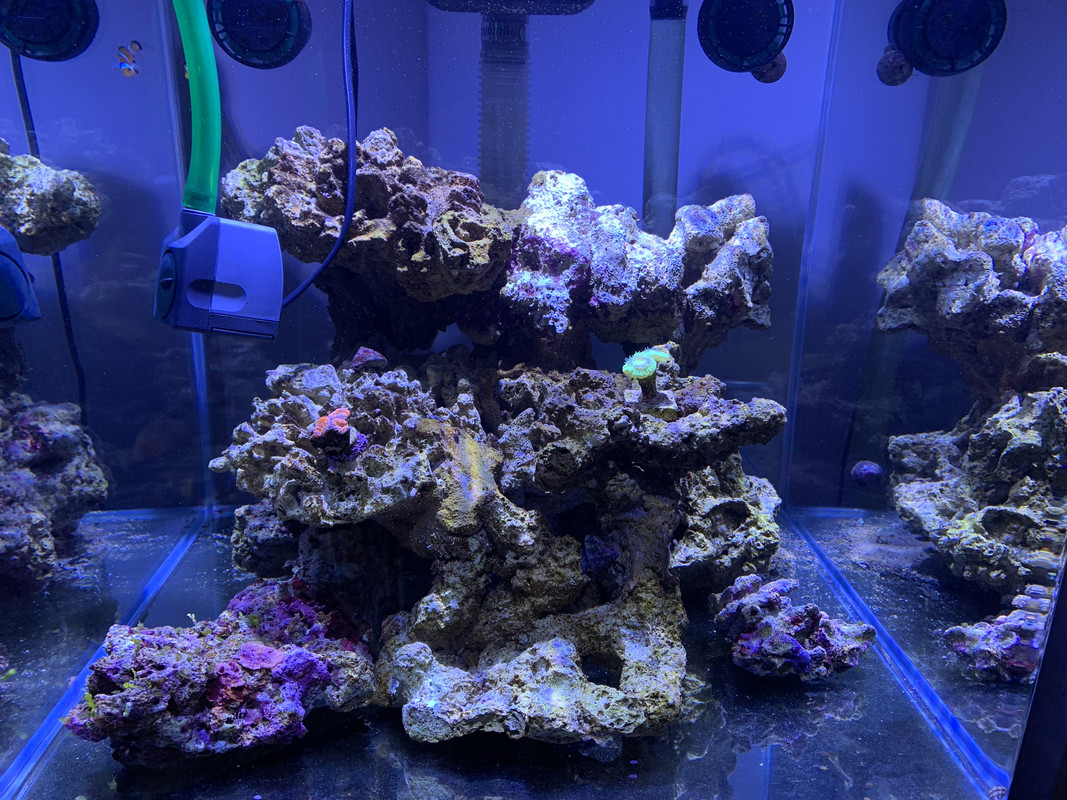 D040F4D1-3A95-408F-803D-7E6E01873E0F