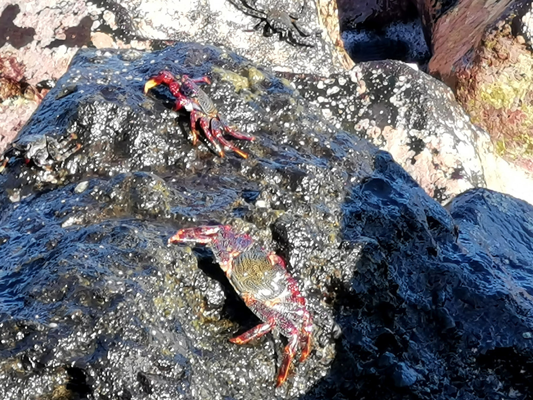 IMG_20240103_142527_edit_88856957356753