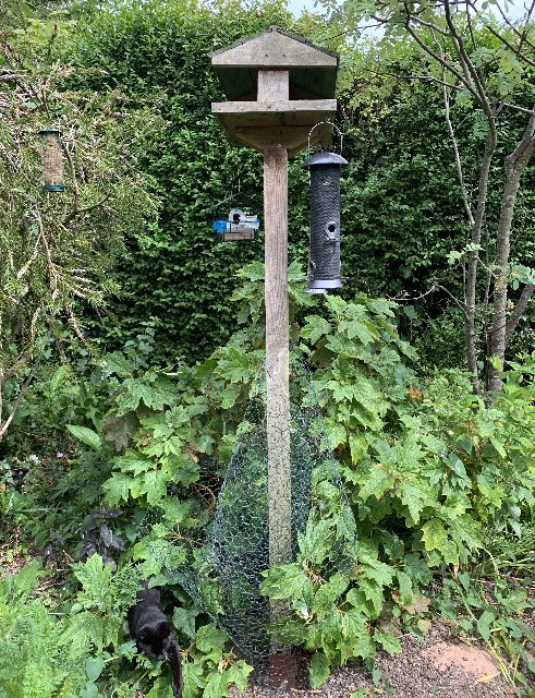 09D3C510-114B-4107-904E-5AC36660D8B5