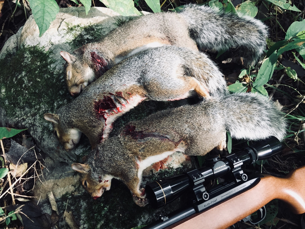 06013043-48EB-44FE-ADDF-E3AA171170CA