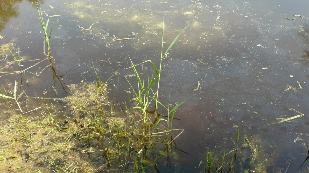 received_10216710504853846