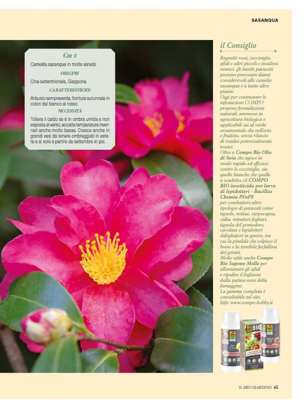 Il Mio Giar Ott-Nov 2024 (4)