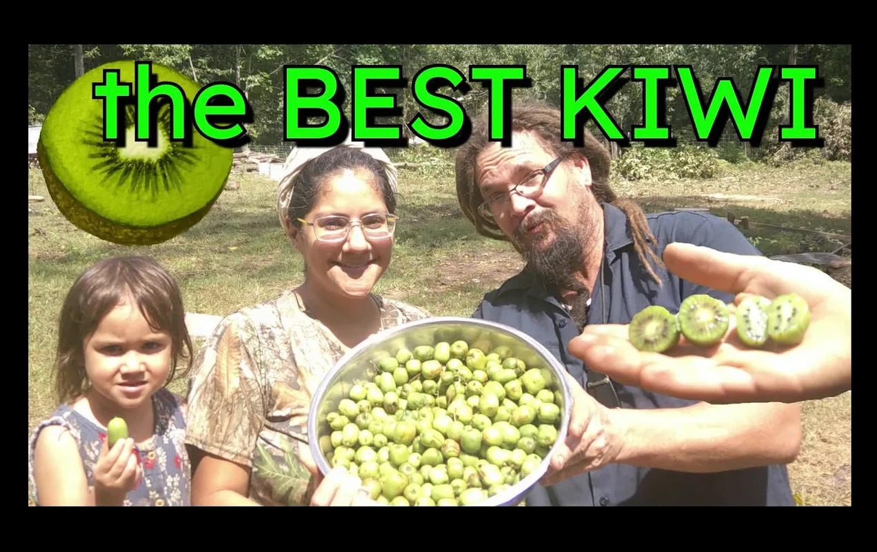 000-KIWI-h-LLH.jpg