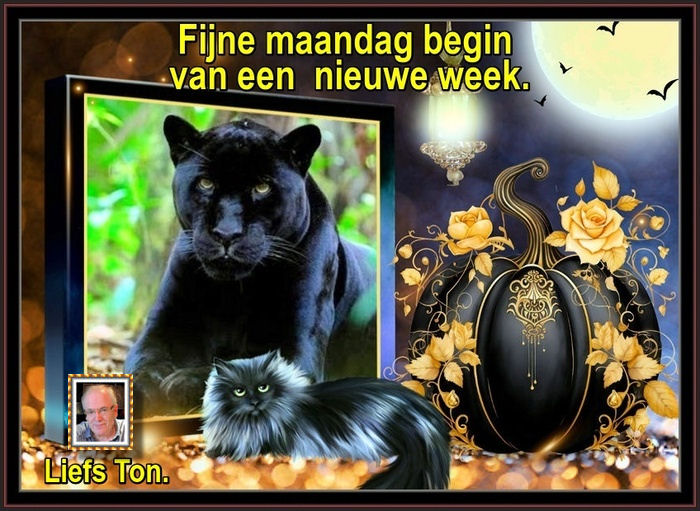www.krabbelplaatjes.com